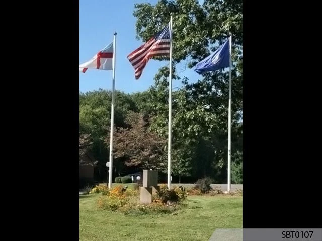 Custom Flags