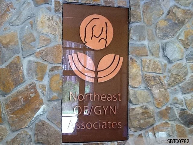 Indoor Dimensional Lettering