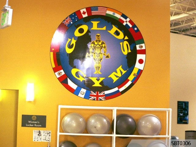 Vinyl Graphics & Lettering in [city]