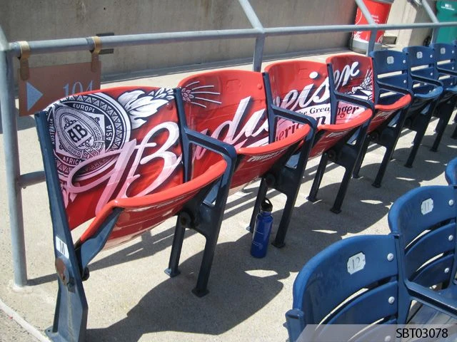 Vinyl Graphics & Lettering in [city]