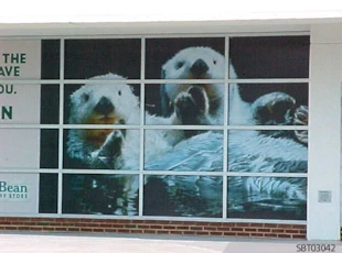 Custom Window Graphics