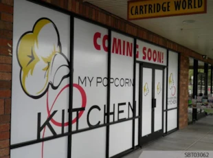 Custom Window Graphics