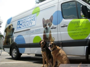 Humane Society Vehicle Wrap