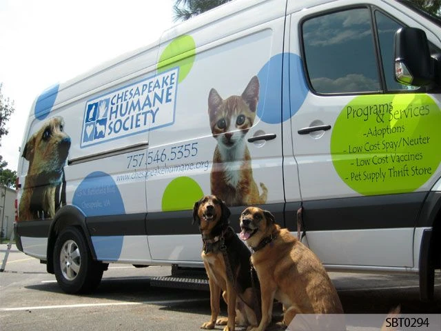 Vehicle Wraps
