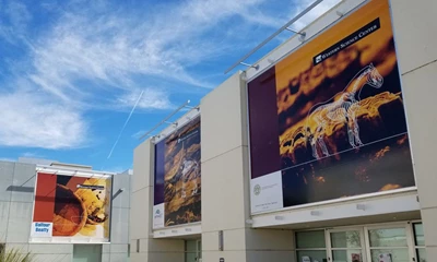 How can custom banners benefit your business?
