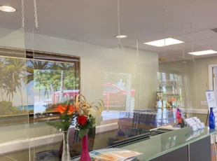 Hanging Protection Screens
