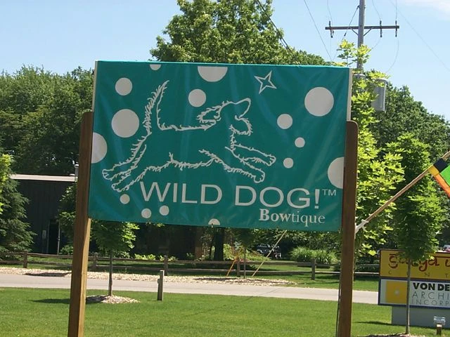 Vinyl Banners