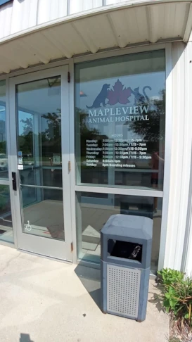 Vinyl Lettering & Graphics