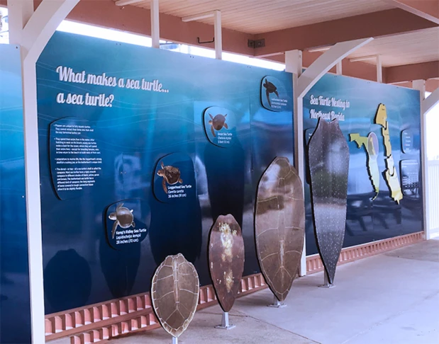 3D Signs