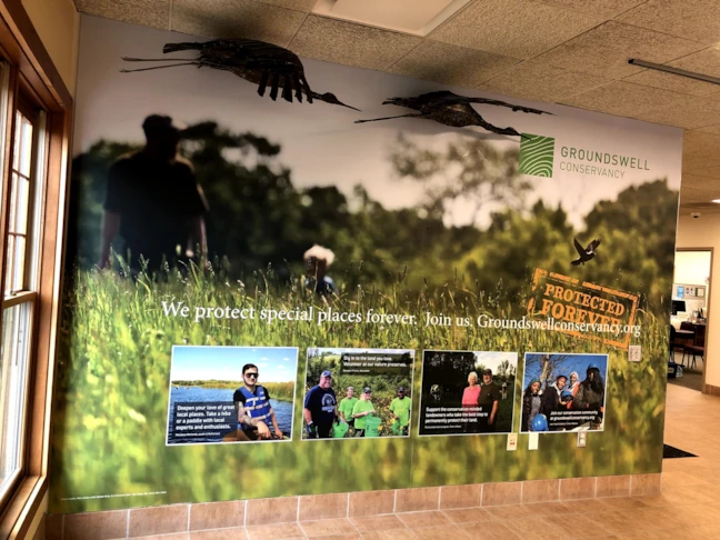 Wall Graphics & Murals
