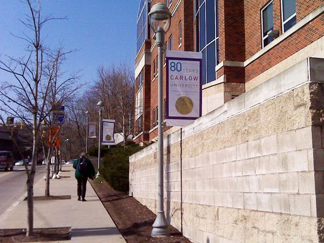 Vinyl Banners