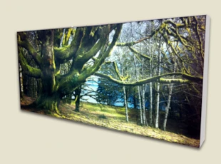 Fabric Print in Lightbox