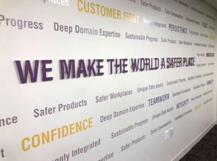 Vinyl + Dimensional Word Wall