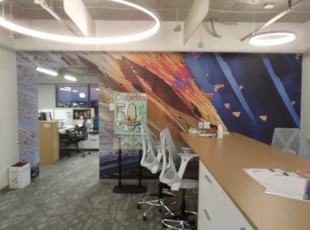 Custom Wall Mural Graphics for American Diabetes Association in VA