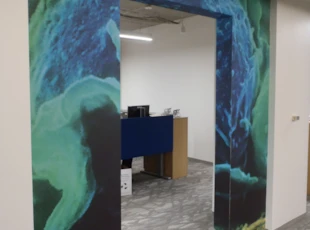 Environmental Wall Graphics
