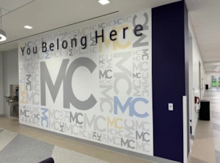 Wall Coverings | Schools, Colleges & Universities | Vinyl