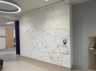 Wall Coverings | Schools, Colleges & Universities | Vinyl