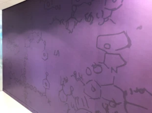 Wall Graphics