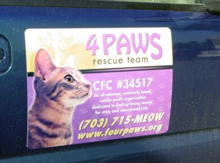 Vehicle Magnet for 4PAWS in Merrifield, VA.
