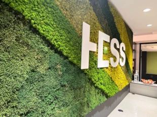 Indoor 3D Signs | Acrylic Lettering | Acrylic with Stud Mounts | Moss Wall