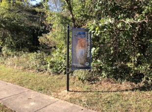 Outdoor Mesh Pole Banner Custom Print and Install
