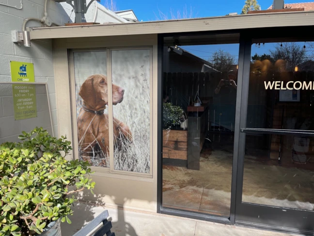 Window Graphics