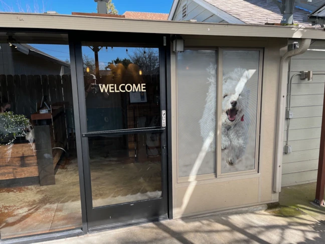 Window Graphics