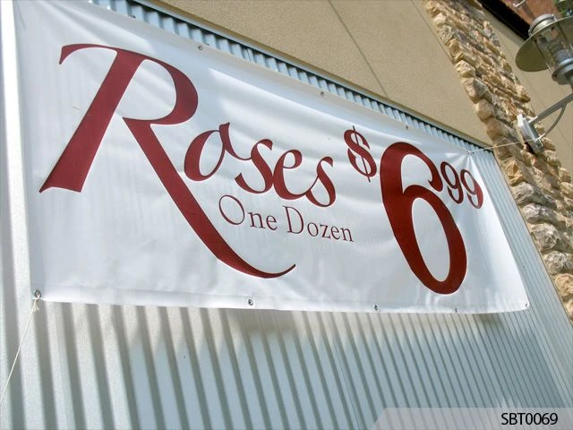Vinyl Banners