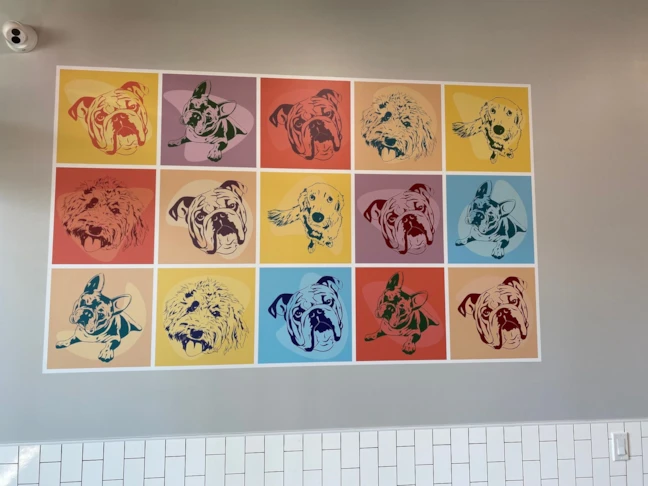 Wall Graphics & Murals