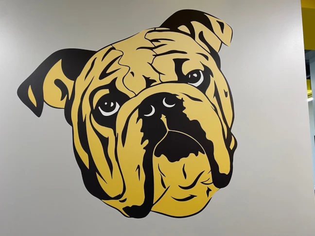 Wall Graphics & Murals