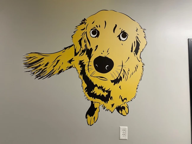 Wall Graphics & Murals