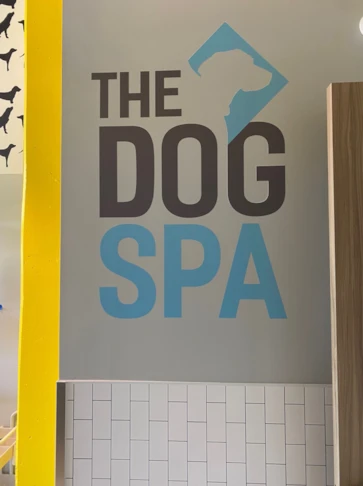 Wall Graphics & Murals