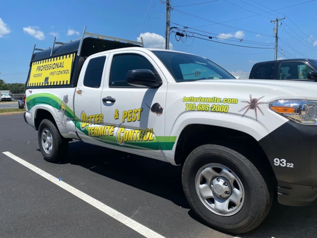 Vehicle Lettering & Graphics in [city]