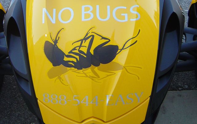 Vinyl and Digital Graphics