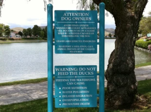 Menifee Lakes