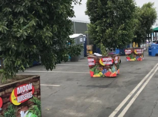 Vinyl Banner on Planters Moon Valley
