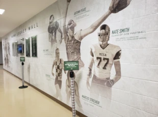 Wall Covering | Schools & Colleges | Murrieta