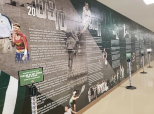 Wall Covering | Schools & Colleges | Education | Murrieta
