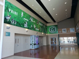 Wall Covering | Schools & Colleges
