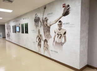 Wall Covering | Schools & Colleges | Education