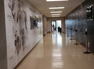 Wall Covering | Schools & Colleges