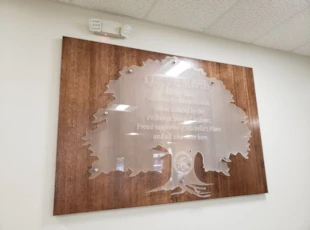 Acrylic with Standoffs | Healthcare | Temecula | Wood