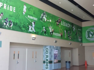Wall Wraps