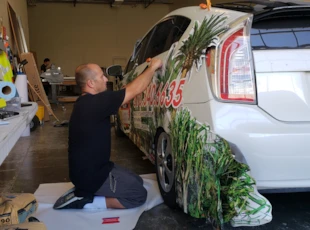 Vehicle & Wall Wraps