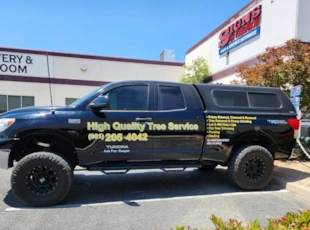 Vehicle Lettering | High Quality Tree Service