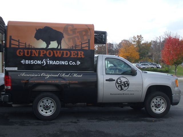 Gunpowder Bison