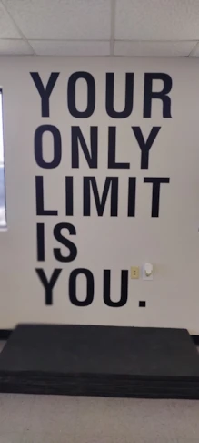 Wall Graphics & Murals