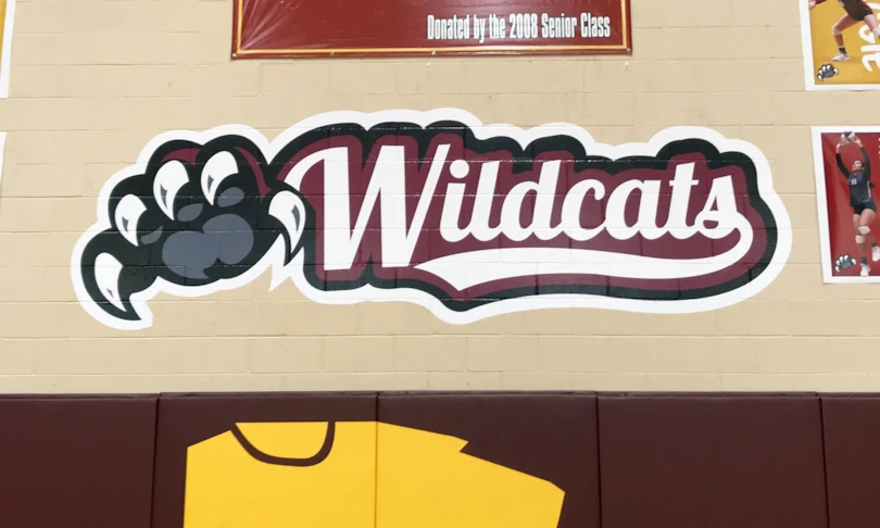 Wall Mural with a big impact