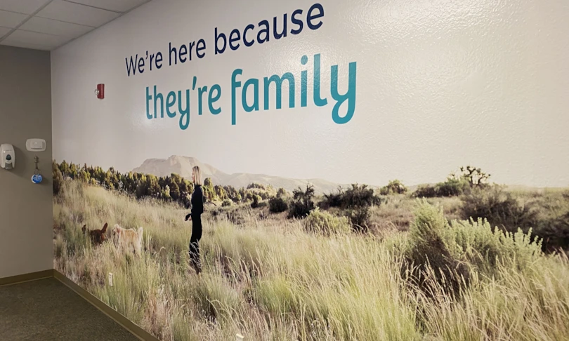 Wall Graphics & Murals