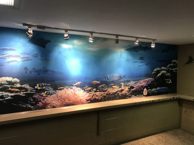 Wall Graphics & Murals totally transform a living space.